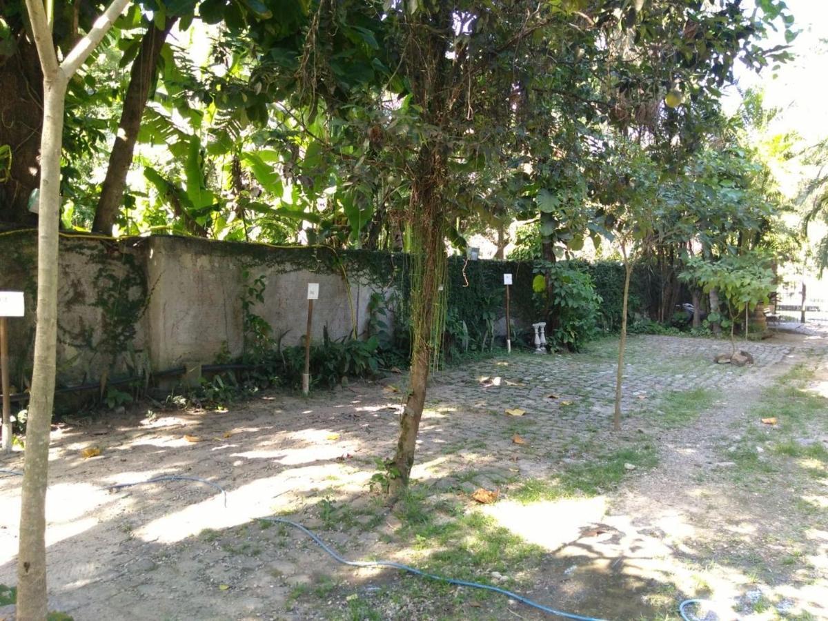 ריו דה ז'ניירו Rio Natureza Apart 111 מראה חיצוני תמונה